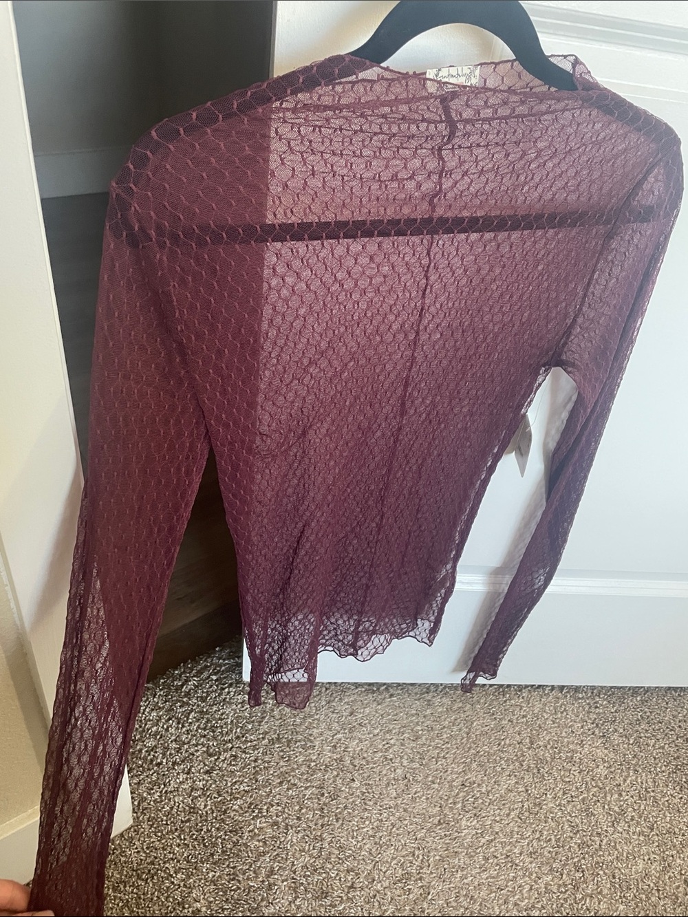 Sheer Long-Sleeve Mesh Top in Wine